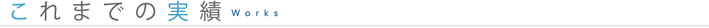 これまでの実績